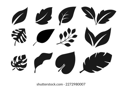 collection of leaf designs in silhouette style on white isolated background.