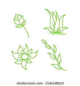 collection of leaf and flower logo template