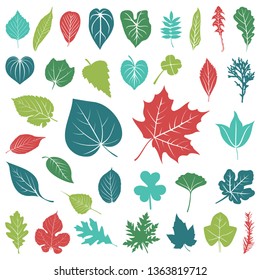 Collection of Leaf Foliage Ecology Plant - Colorful Silhouette Icon
