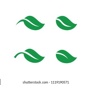Collection leaf icon. eco simple icon