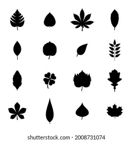 Collection Of Leaf Icon Png Vector Isolated On White Background.