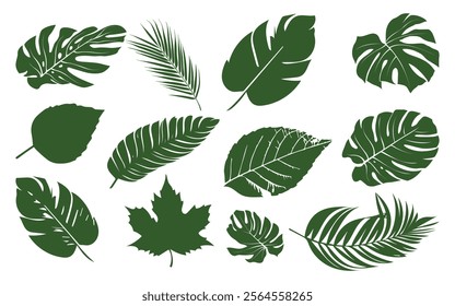 Collection of Leaf icon. Set of green leaf icons. Eco, natural, Leaves of trees and plants. vector illustration