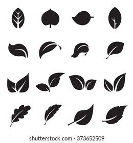 Collection of leaf icons. Black icons isolated on a white background. Vector illustration