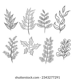 Colección de ilustraciones de dibujo de líneas de hoja