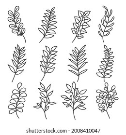 Collection of leaf plant forest herbs tropical leaves, tropical plant leaves collection