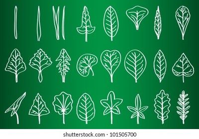 Collection of Leaf Silhouettes on School Board - hand-drawn illustration