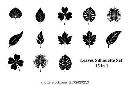 Collection of leaf silhouettes on white background
