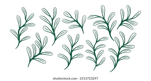 Collection of Leaf Silhouettes. Set of leaves. Leaves Hand Drawn Doodle Line Art Outline Set Containing leaf, leaves.