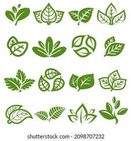 Collection leafs set. Leafs collection icon. Vector