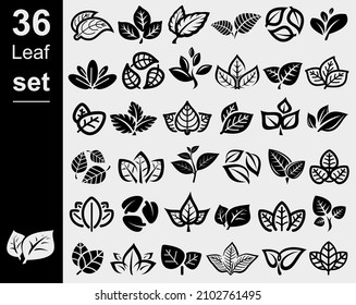 Collection leafs set. Leafs collection icon. Vector