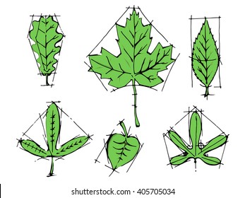 Collection of leaves