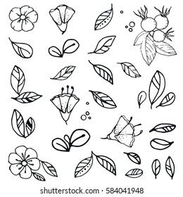 Collection of leaves, berry and flower. Vector floral set in doodle style. Floral, decorative, design elements. Black and white background. 