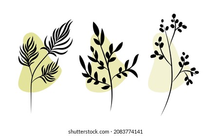 Collection of leaves and branches. Abstract drawing with branches and leaves.Black and white drawing.Design elements for logo, frame, wreath, decoration.