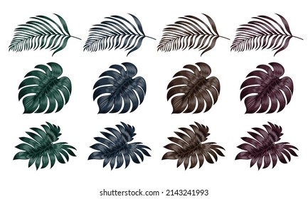 collection of leaves color isolated on white background. Vector illustration.