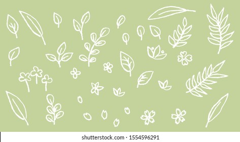 Collection of leaves and flower pattern. white line leaves and flower on green background. Vector hand drawing.