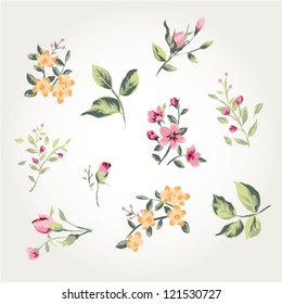 A collection of leaves with flowers for the design. Vector illustration pattern