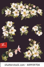 A collection of leaves with flowers for the design. Vector illustration with blossoming apple tree