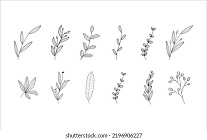 Collection of Leaves Illustrations on White Background 