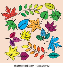 Collection leaves isolated on white