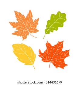 Collection of leaves on a white background, colorful autumn leaves set, hand-drawn leaves tree decoration art, EPS 8