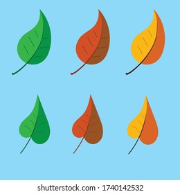 Collection of leaves of various seasons with a blue background. Vector illustration.
