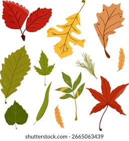 Hojas de colección. Ilustración vectorial con diferentes tipos de hojas. Colores amarillo, naranja, rojo, marrón, verde. Hojas para el Anuncio, pegatina. Hola otoño. Dibujado a mano aislado sobre fondo blanco.