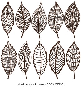 Collection of leaves. Vector set. Sketches