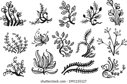 Collection of leaves. Vector set. Sketches