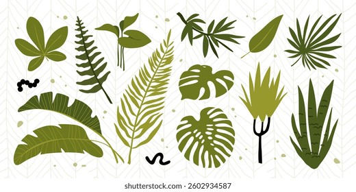 Collection of leaves of wild and domestic tropical plants. Tropical exotic leaves and branches set. Nature eco-friendly design concept. Vector illustration.