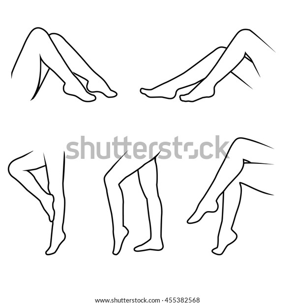 Collection Leg Icons Stock Vector (Royalty Free) 455382568 | Shutterstock