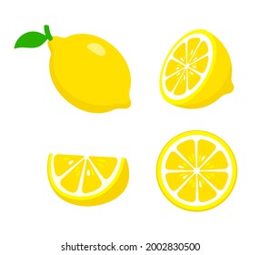 collection of Lemon, fresh fruit vector illustration