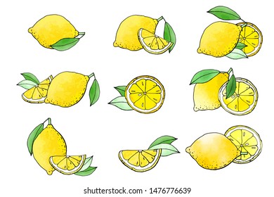 Collection of lemon fruit icons with watercolor texture. Vector stock set. Cute doodles. Summer fruit, bright citrus for lemonade. Can be used for printed materials. Hand drawn design elements. 