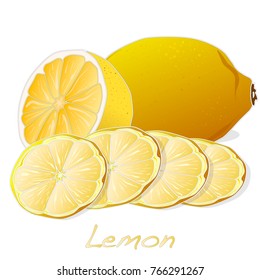 Collection of lemon fruit illustrations  isolated on white