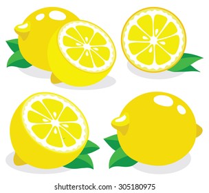 Collection of lemon fruits cut in half, vector illustrations