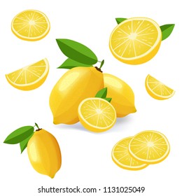 Collection of lemon fruits isolated on white. Lemon icon set vector illustration