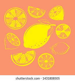 Collection of lemon and leaf  on orange background. Vector illustration.