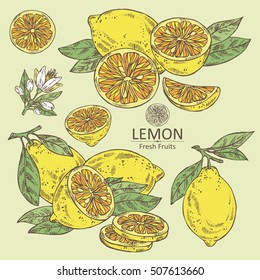 Collection of lemon, lemon slice and flower . hand drawn