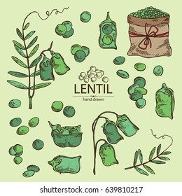 Collection of  lentil. hand drawn.