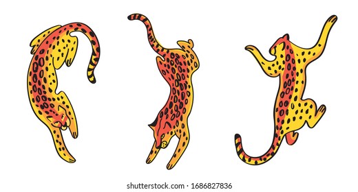 Collection of leopards in various poses vector illustration isolated on white background.