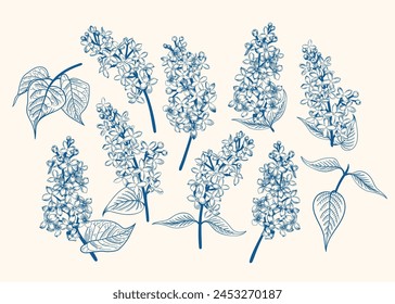 Colección de lila. Afiche de Antiguas con flores lilas. Ilustración vectorial. Estilo de arte lineal. Color azul.