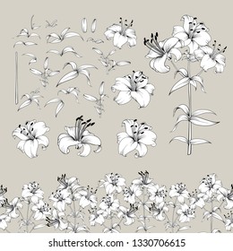 Collection of lily flowers elements. Awesome set for designers. Blossom jungle flower bundle. Black flowers of lilies isolated over gray. Flowers contours collection. Vector illustration.