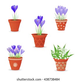 collection of lily of the valley and crocus planted in ceramic pots for your design