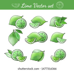 Collection of lime fruit icons with watercolor texture. Vector stock set. Cute doodles. Summer fruit, bright citrus for lemonade. Can be used for printed materials. Hand drawn design elements. 