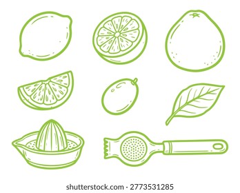 A collection of lime fruit illustrations, showcasing the vibrant green citrus in various forms, including whole, sliced, halved, and juiced, capturing the essence of freshness.