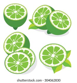 Collection of lime fruits slices vector illustrations