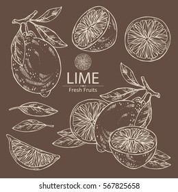 Collection of lime and lime slice. hand drawn.