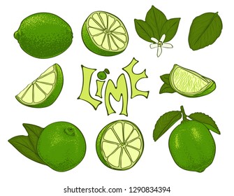 Collection of lime vector icons in handdrawn style. Isolated color illustrations.