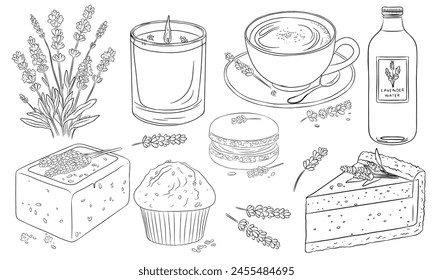 collection of line art drawings featuring lavender infused products. Outline illustration such as a candle, coffee, lavender water,  fresh blooms,  macaron, muffin, cookies, cheesecake, soap