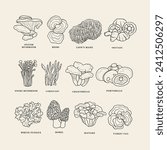 Collection of line art edible mushrooms