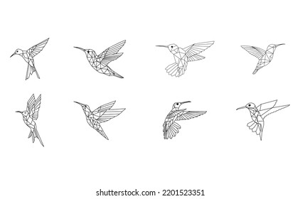 Collection of Line Art Hummingbird Illustrations 